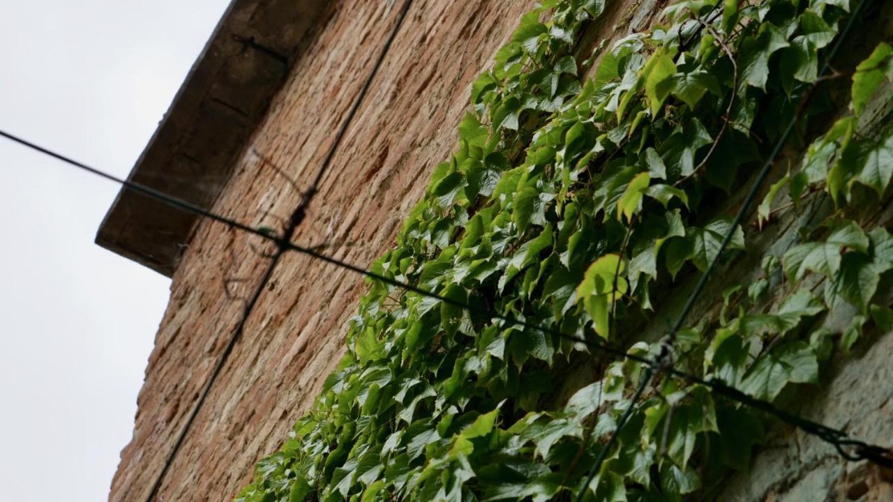 La Casa Di Giulia: Una Pausa In Collina Fubine Extérieur photo